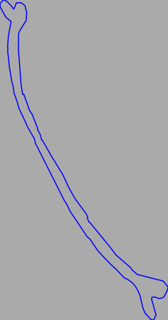 Nämforsen rock carving Notön  N-M003 line curved split ends